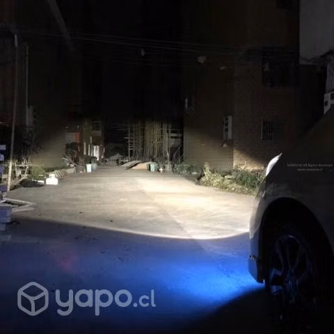 Ampolleta Bombilla Halógena H3 12v 55w Par
