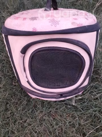 Porta gatitos o perrito pequen - Imagen 2