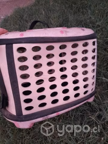 Porta gatitos o perrito pequen