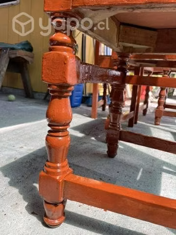 Juego de 6 sillas madera nativa
