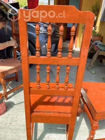 Juego de 6 sillas madera nativa