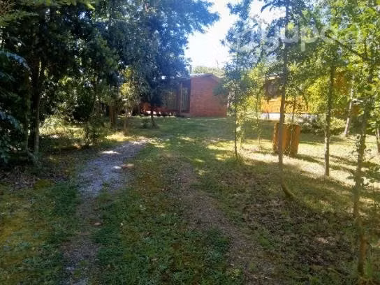 Cabaña en Liquiñe