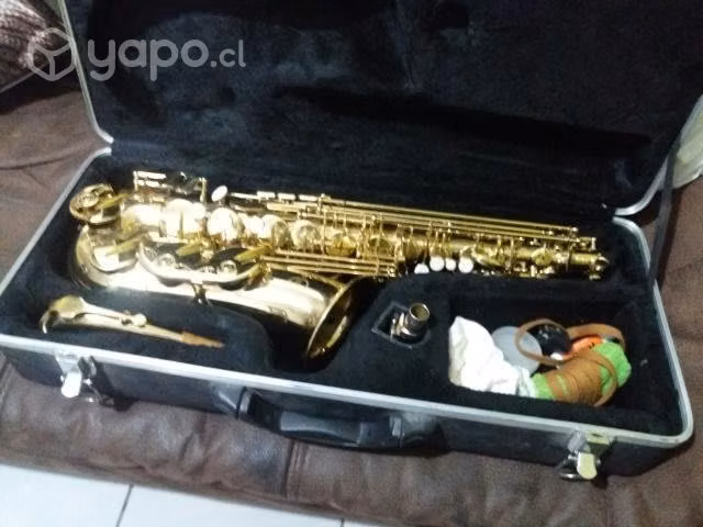 Saxofón Alto Maxtone - Imagen 3