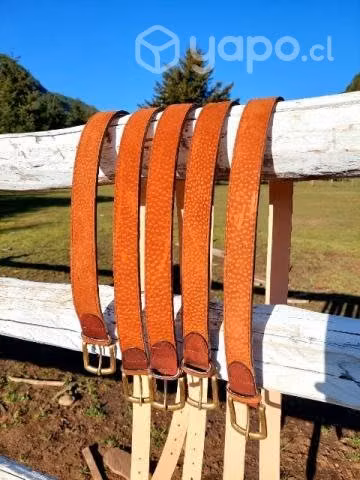 Cinturón de carpincho - Imagen 2