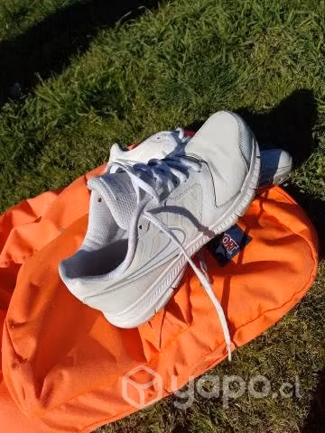 zapatillas