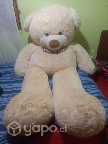 , escritorio,oso grande peluche y 2 camisas