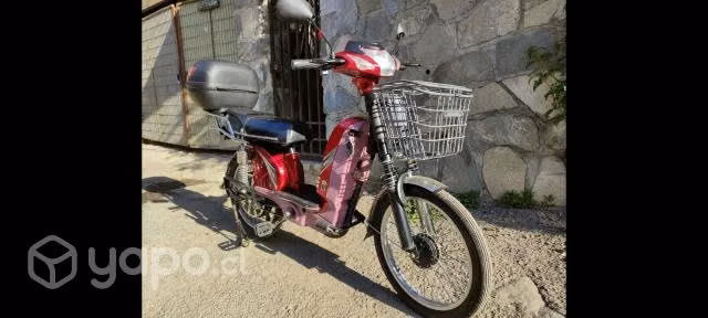 Bicicleta electrica 450watts brushless