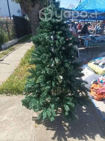 Árbol de navidad - Imagen 2
