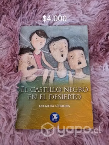 Libros plan lector