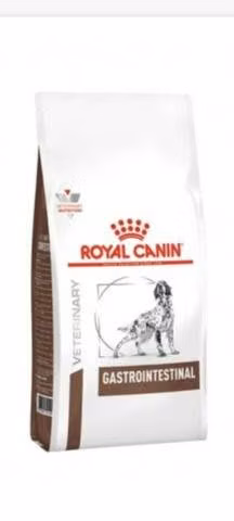 Royal canino gastrointestinal canino 10kg