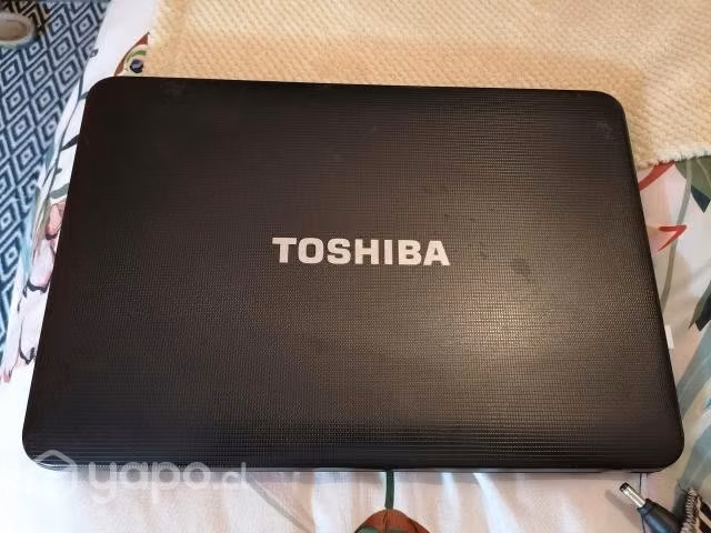 Notebook Toshiba por renovación