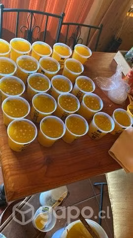Miel pura de abeja
