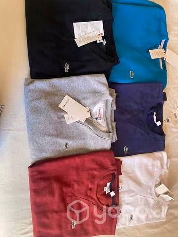 Poleron Lacoste - Imagen 2