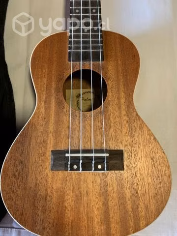 Ukelele - Imagen 2