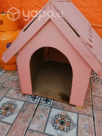Casa perrito