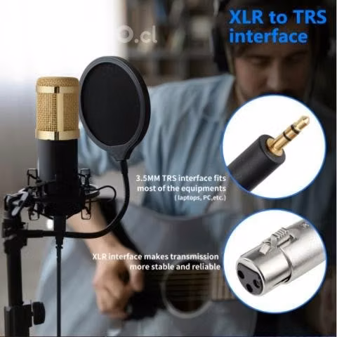 Microfono condensador USB Streaming con Brazo de t