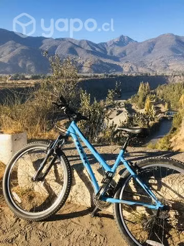 Bicicleta trek merli