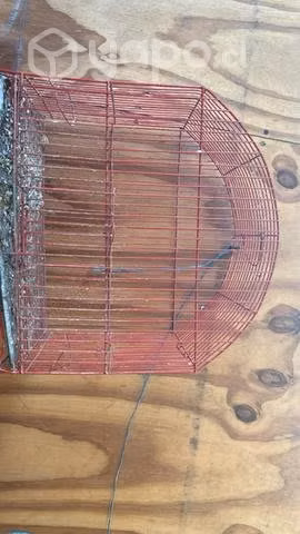 jaula para pájaros