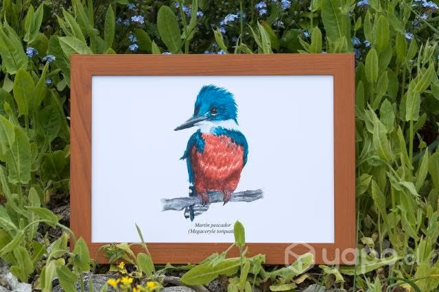 Cuadros Decorativos - Imagen 2