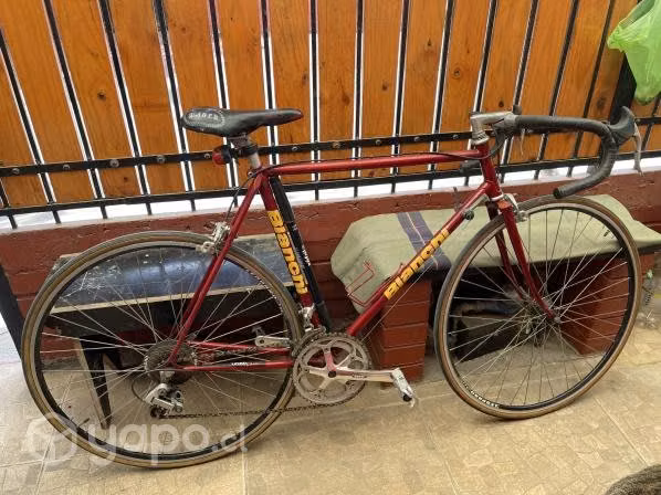 Bicicleta pistera