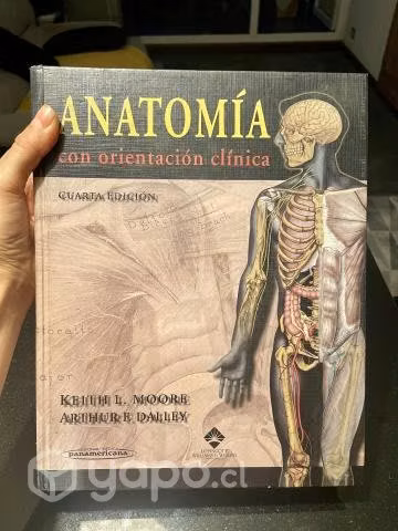 Libro Anatomia Moore