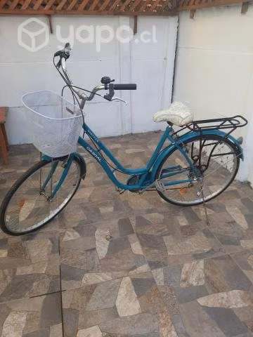 Bicicleta de paseo