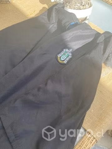 Trajes Harry Potter