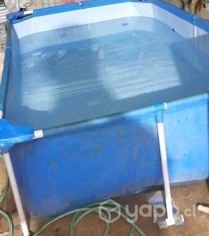 Piscina rectangular - Imagen 2