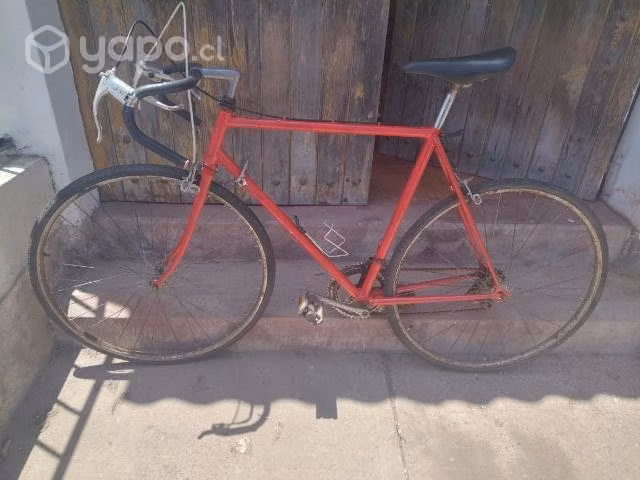 Bisiclata bianchi media pista