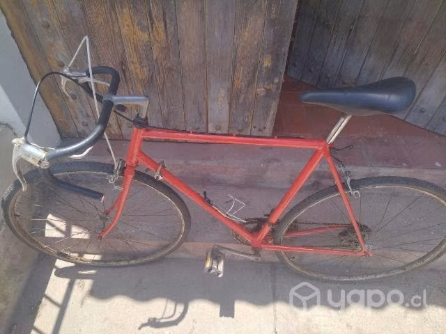 Bisiclata bianchi media pista