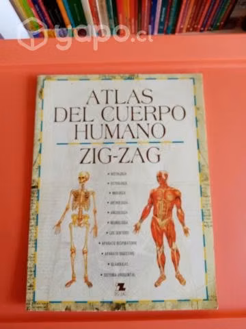 Atlas del Cuerpo Humanos Zig Zag