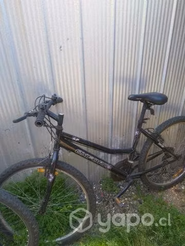 Bicicleta mujer oxford