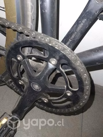P3 fixie o libre - Imagen 3