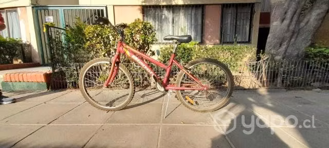 bicicleta niña aro 24