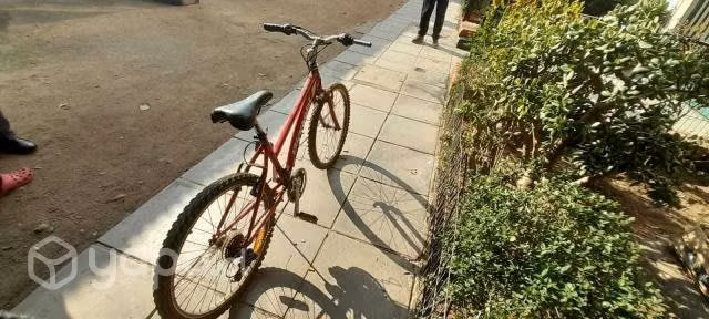 bicicleta niña aro 24