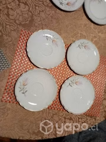 Loza ChileWare