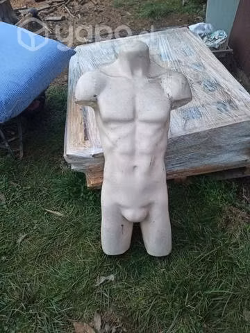 Torso Maniquí masculino Con Pedestal