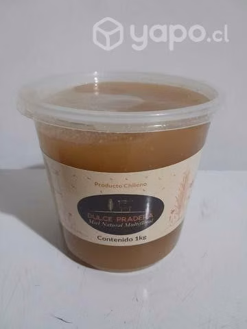 MIEL 100% natural traída de chillan