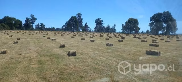 Fardos - Imagen 2