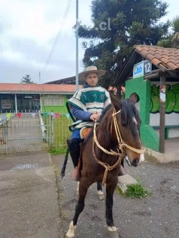 Caballo inscrito