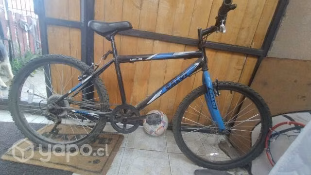 Bici Caloi aro 24
