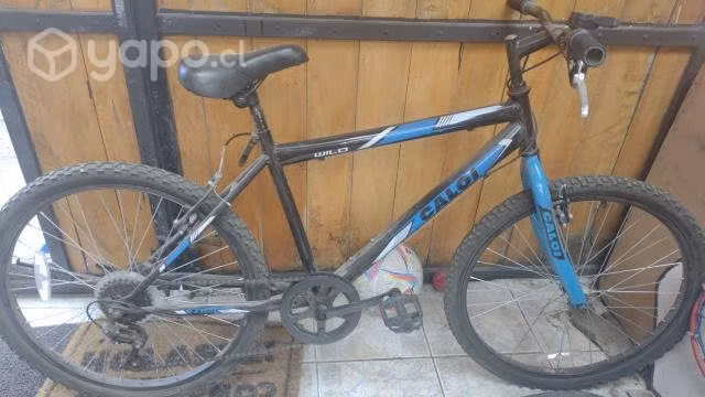 Bici Caloi aro 24