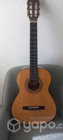 Guitarra HOHNER