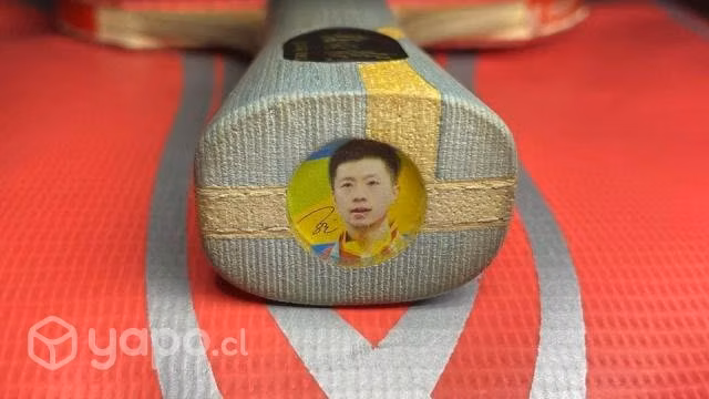 Paleta Tenis de Mesa