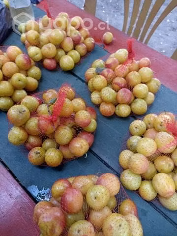 ciruelas
