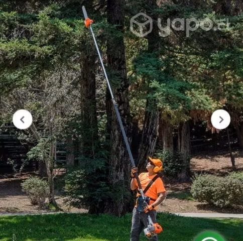 Busco podadora motosierra