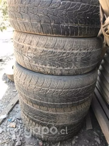Neumaticos