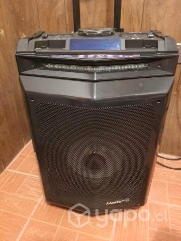 Professional active speaker system master g