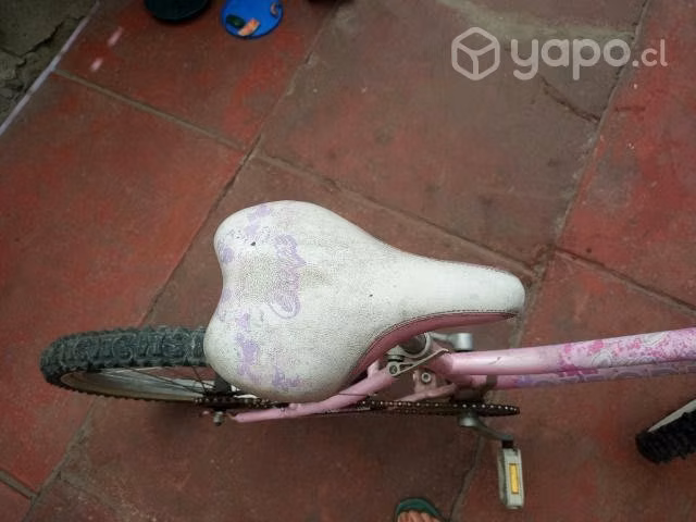 Bicicleta niña aro 20 oxford