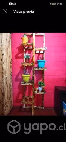 Repiza para plantas